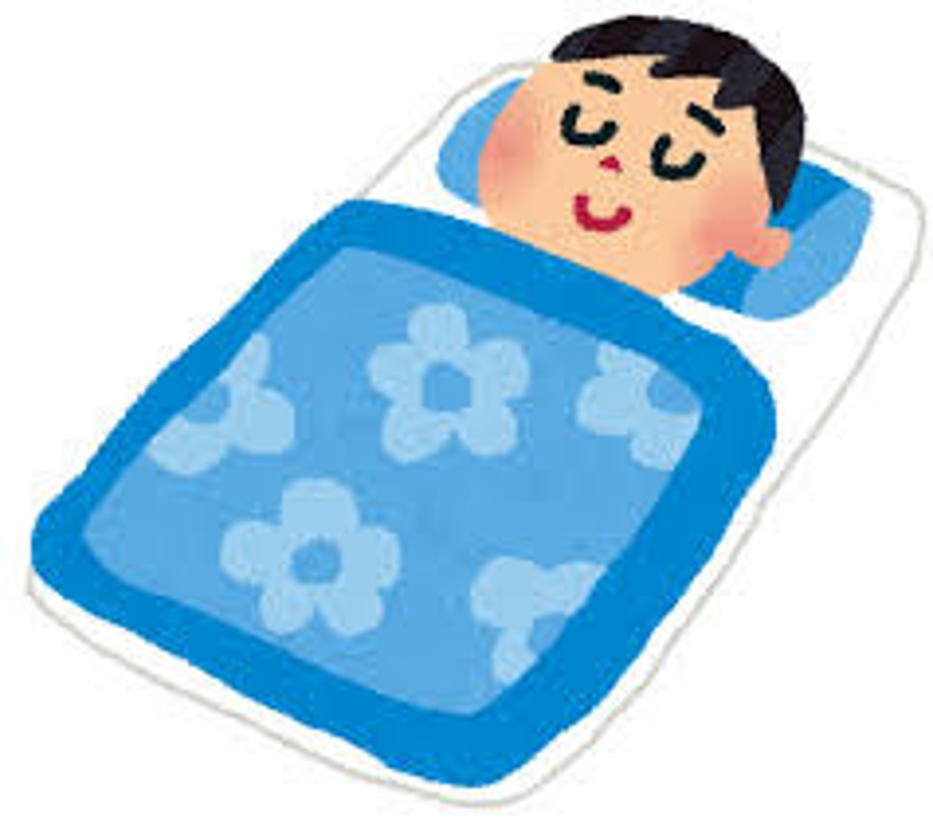 <p>かけぶとん chăn đắp nhẹ</p>