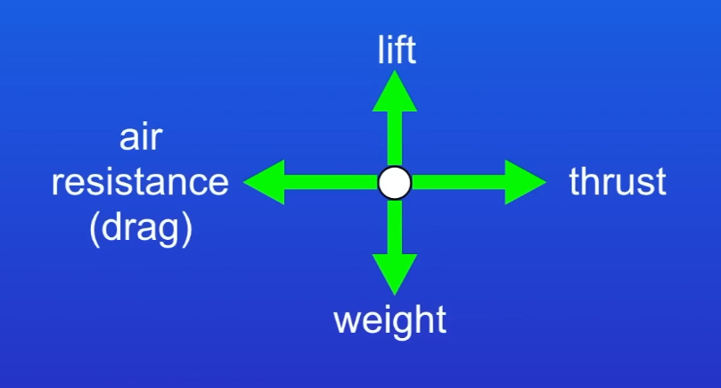 <p>(You could be asked to draw a free body diagram for other situations.)</p>