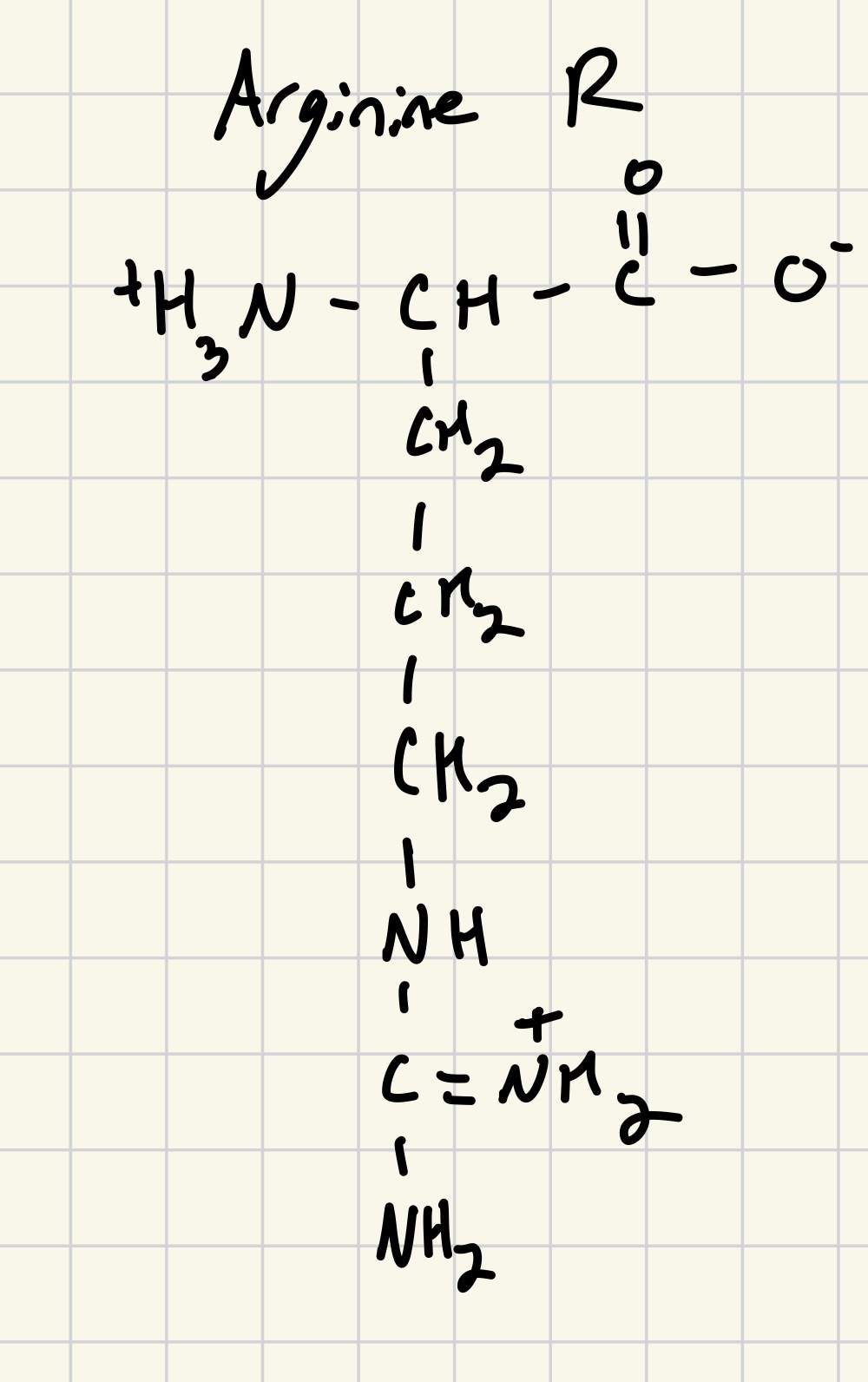 knowt flashcard image