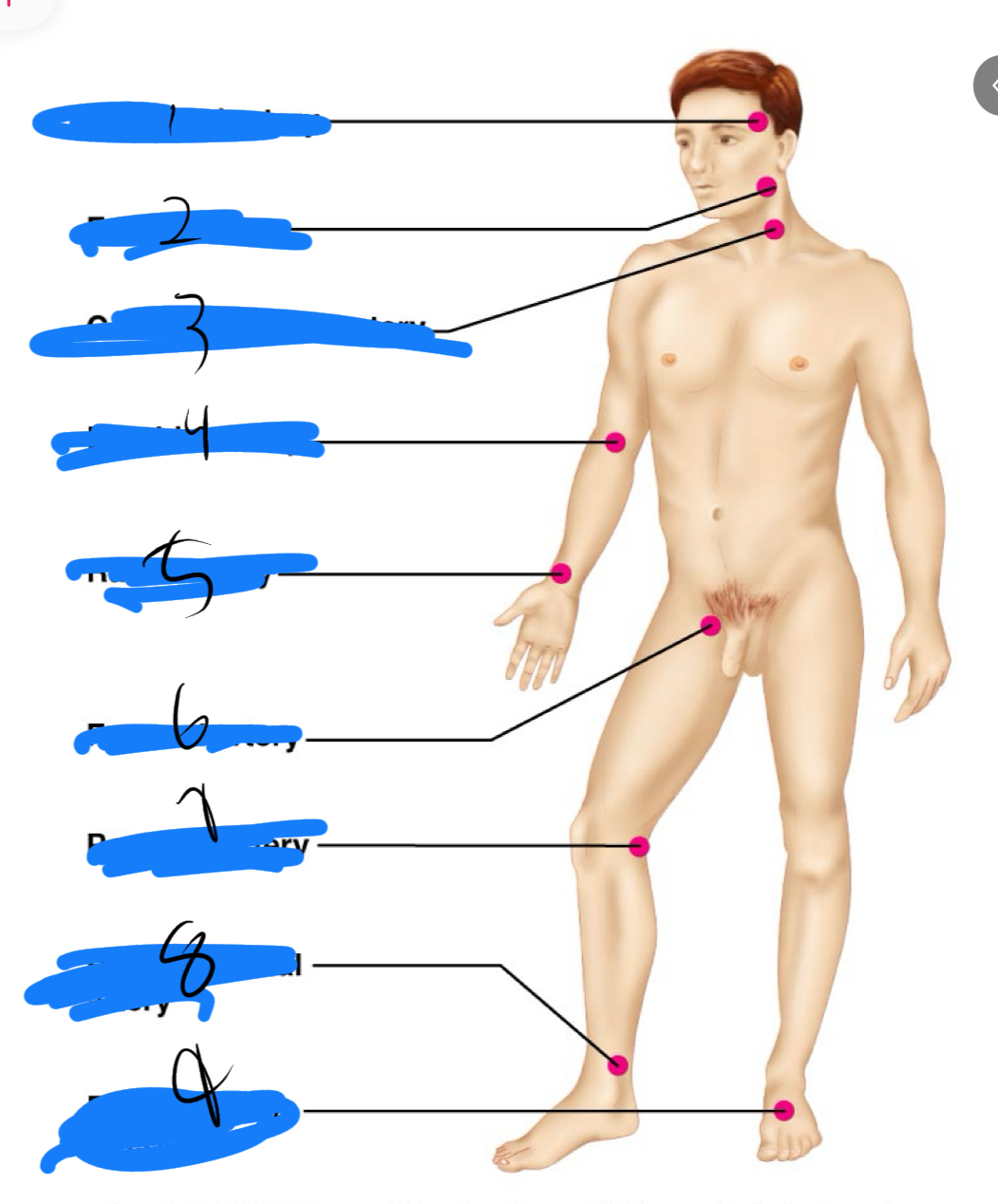 <p>7</p>
