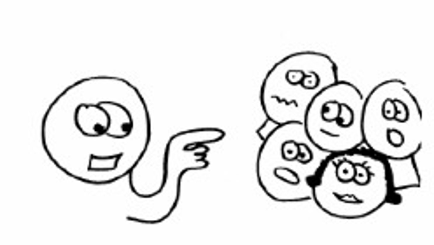 <p>they, male or male and female</p>