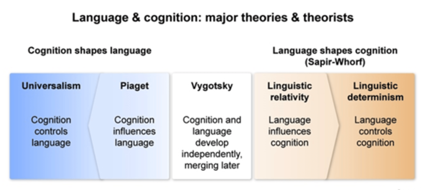 <p>B. cognition is required for language</p><p></p><p>note</p><p></p><p><span class="bgB">Universalism</span>: cognition controls language</p><p><span class="bgB">Linguistic determinism</span> (Sapir-Whorf-): language controls cognition</p>