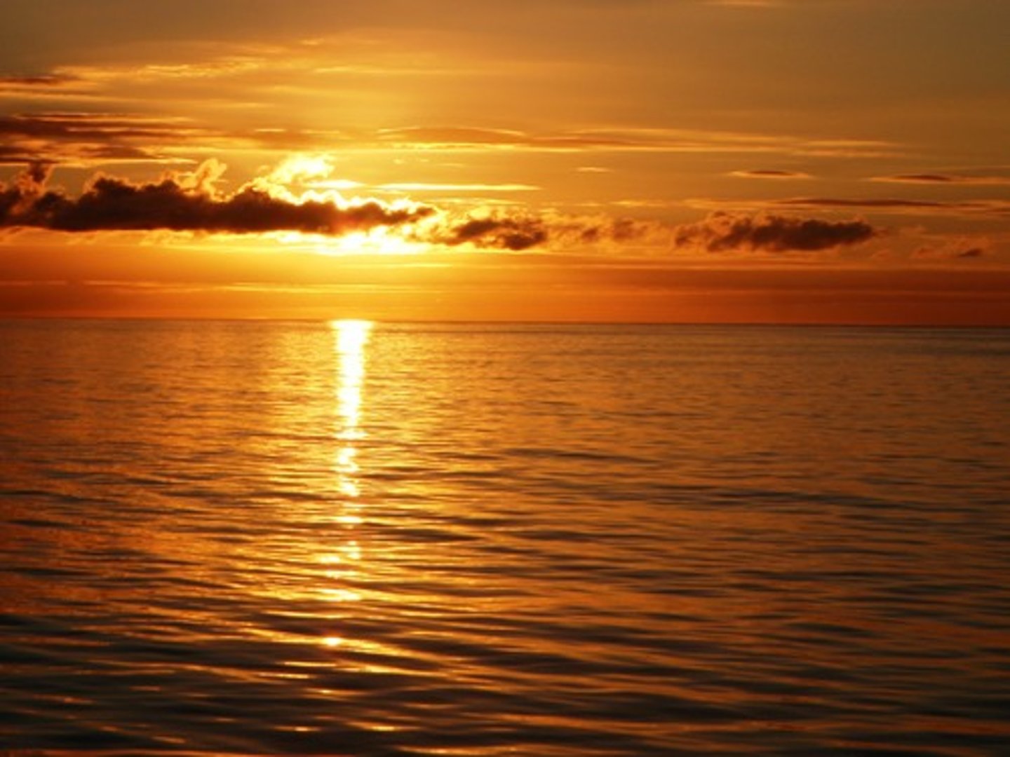 <p>Hermoso / Bello</p>