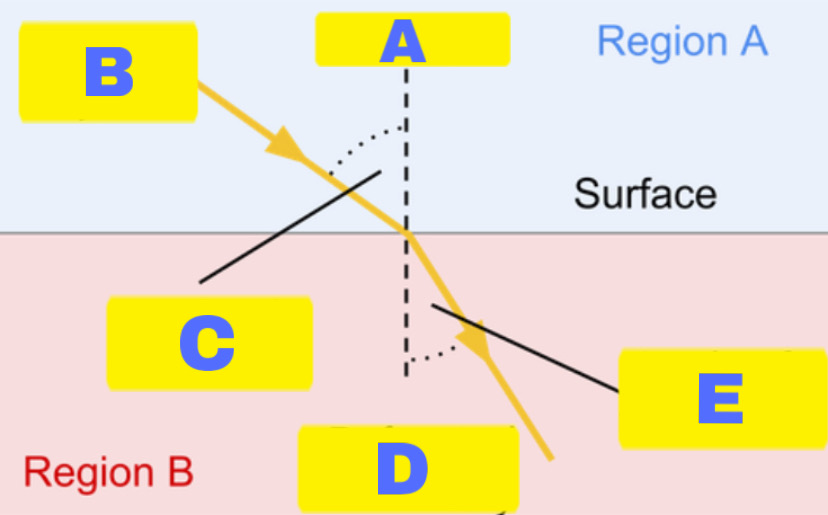 <p>What does label B stand for?</p>
