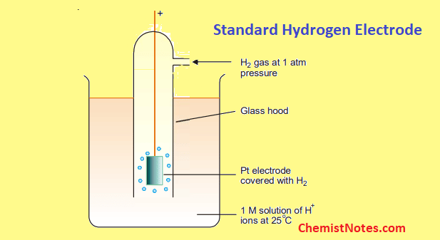 <ul><li><p>the absolute value of a half cell potential cannot be measured, only differences in potential between pairs of half cells can </p></li><li><p>hence, the half-cell used as a reference is the standard hydrogen electrode </p><ul><li><p>under standard conditions and 1.0 mol dm hydrogen ion conc </p></li><li><p>platinum elecrode used </p></li><li><p>H <sup>+</sup> (aq) + e<sup>−</sup> ⇌ 1/2H<sub>2</sub>(g)</p></li><li><p>given the value of <em>E</em><sup>θ</sup><span> = 0.00 volts</span></p></li></ul></li><li><p>the more negative the <em>E</em><sup>θ</sup> value for a half cell, the better it can act as a reducing agent </p></li></ul><p></p>