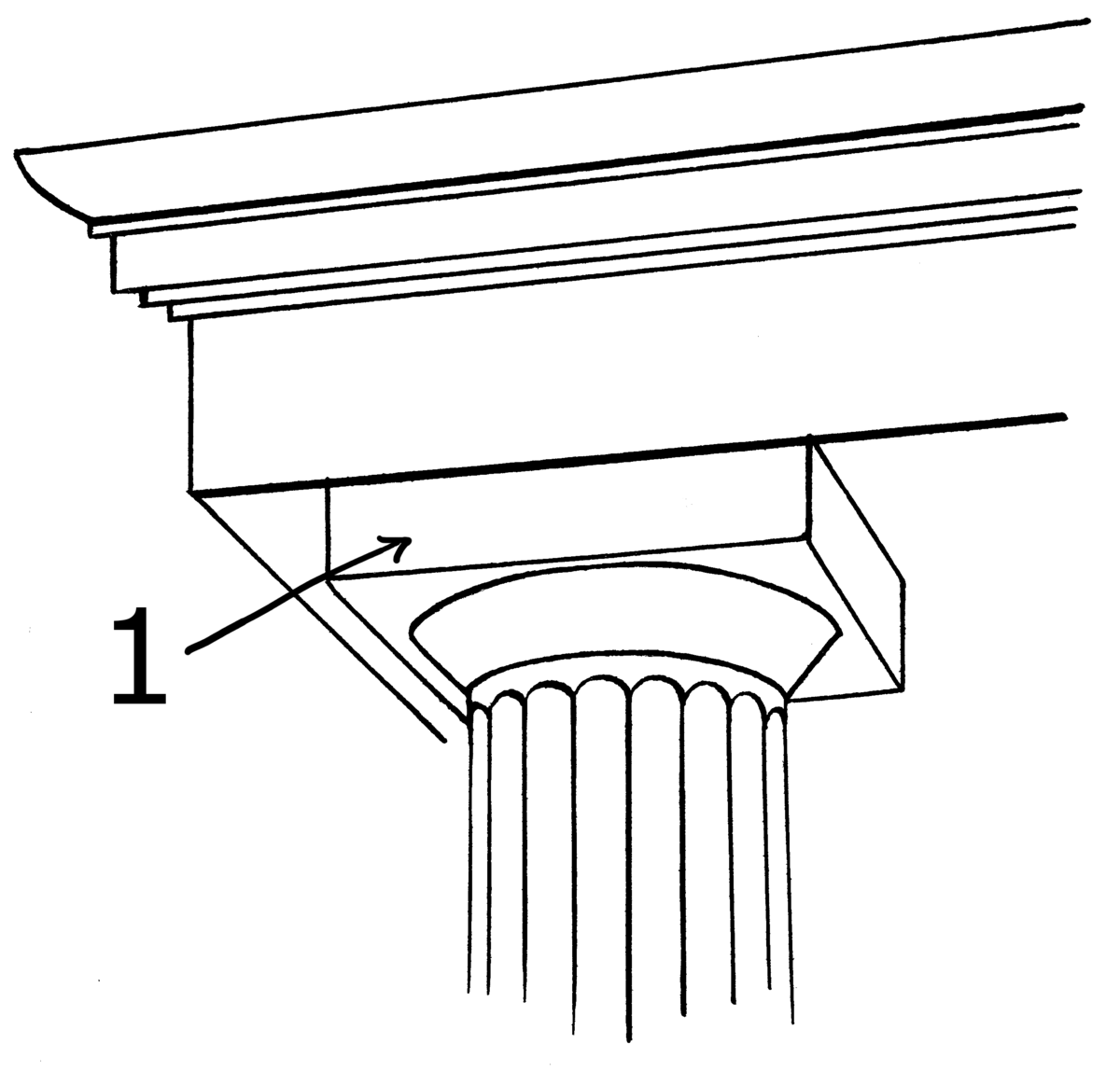 <p>The square slab that forms the top of a column </p>