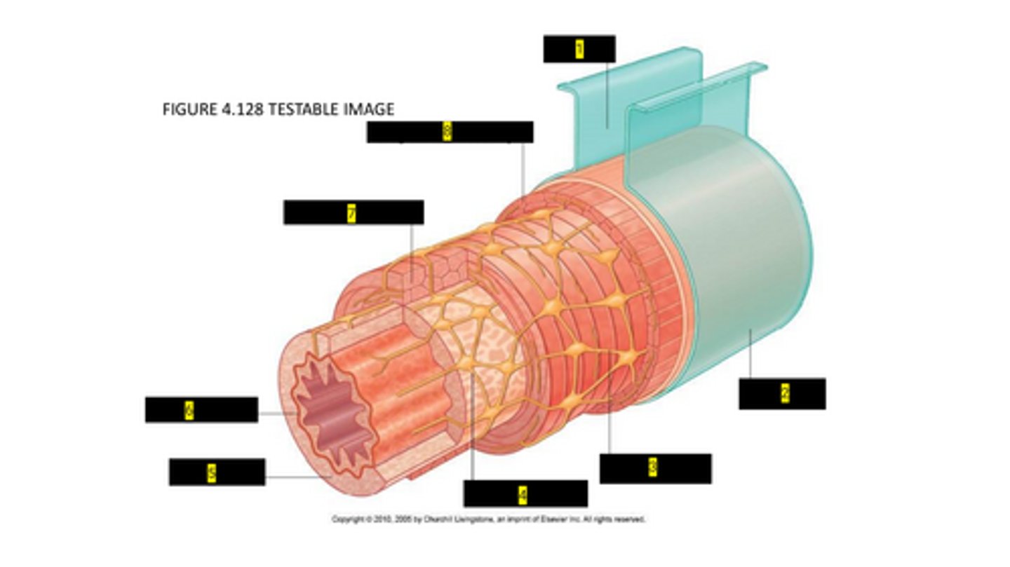 <p>2</p>