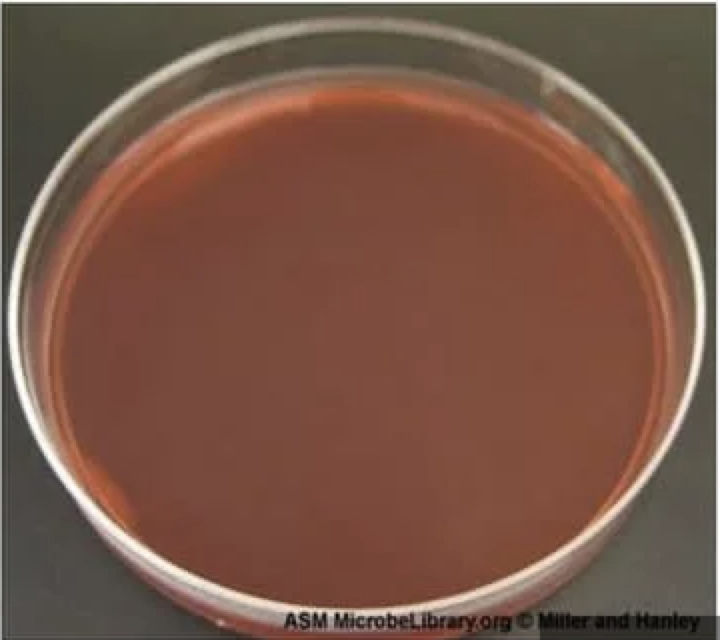 <p>What type of media is this?</p>