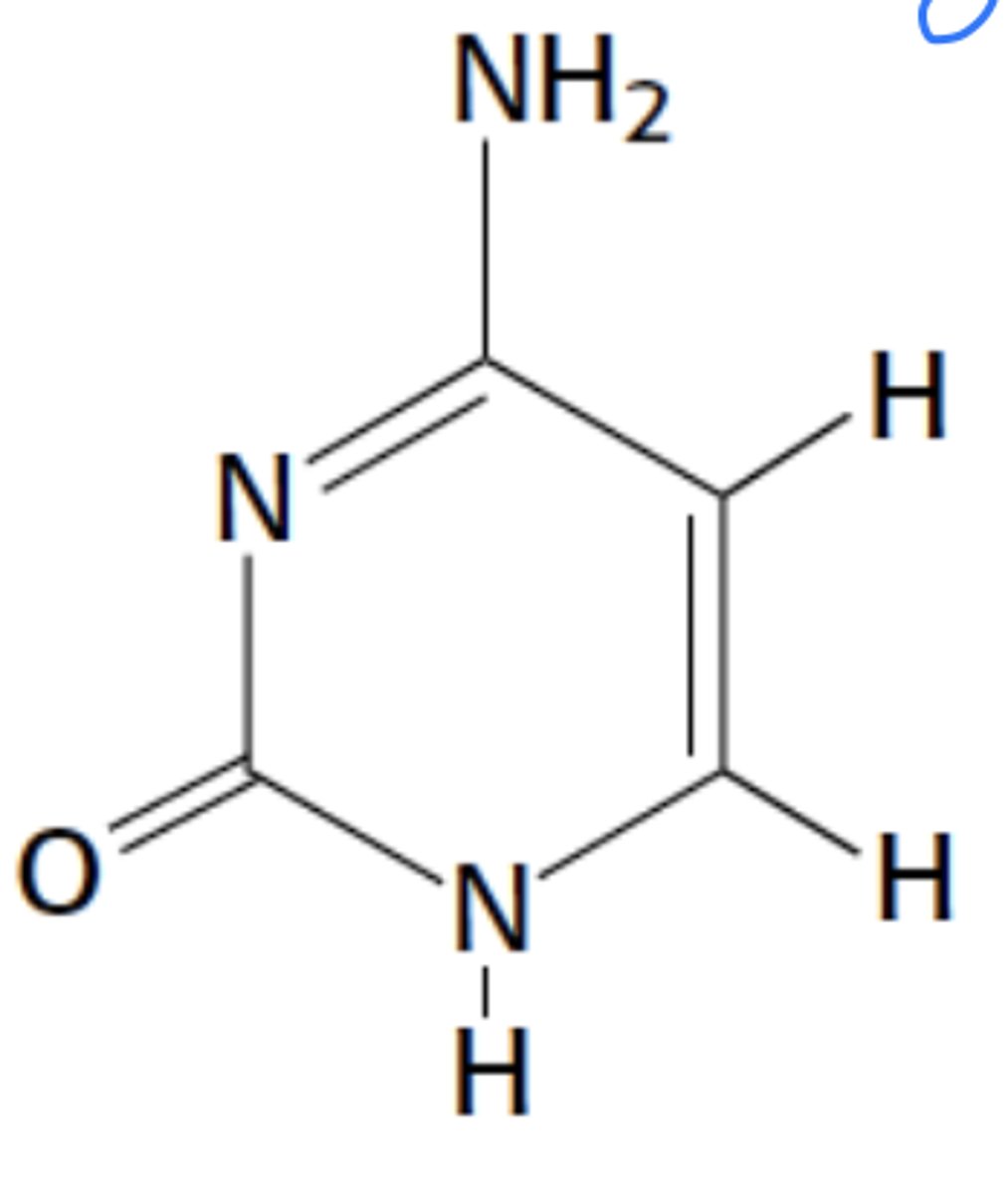 <p>Name this structure</p>