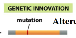 <p>altered gene product</p>