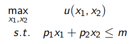 <ul><li><p>The solution to the constrained optimisation problem in the image </p></li><li><p>This solution gives the optimum quantity given fixed income and prices x(p,m)</p></li></ul><p></p>