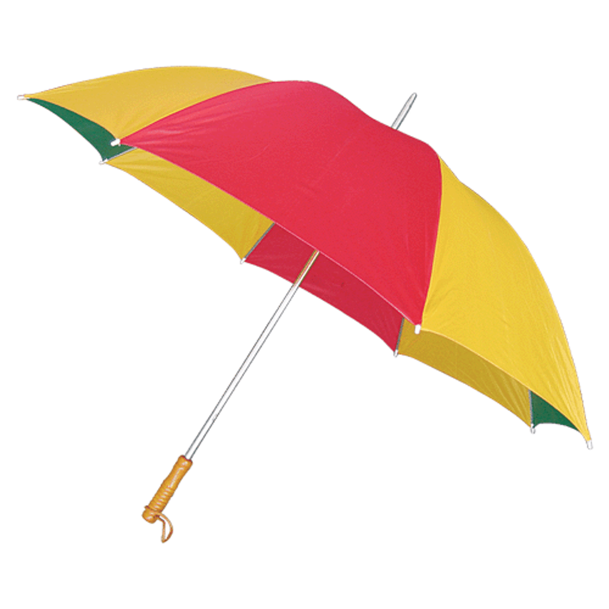 <p>umbrella (sǎn)</p>