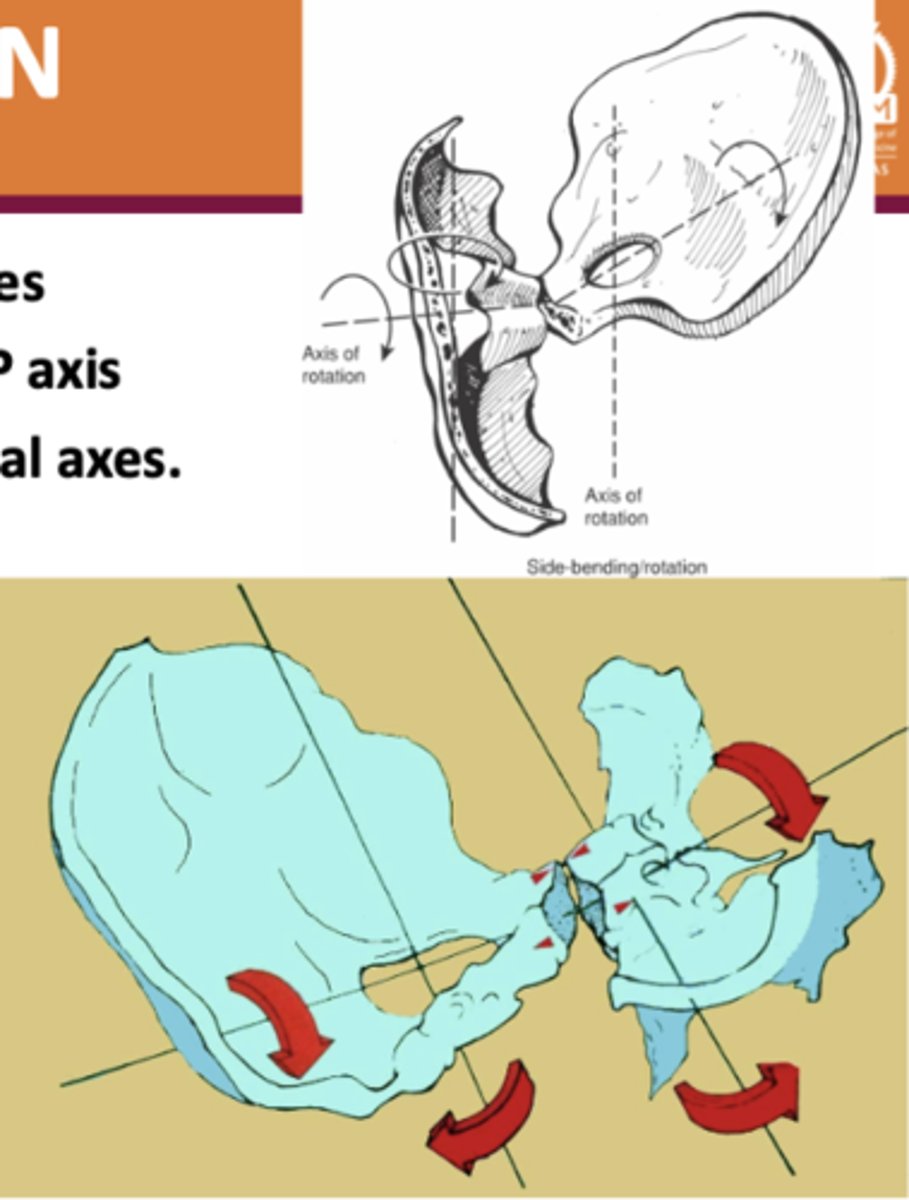 <p>What are the axes for Cranial Side-Bending Rotations?</p>