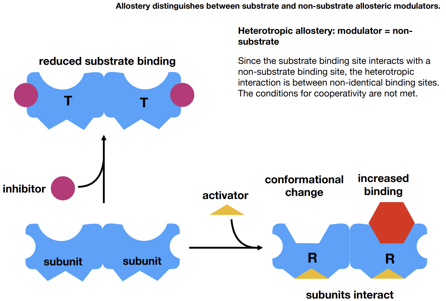 <p>Modulators that are not substrates.</p>