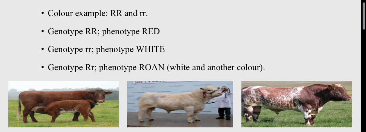 <p>Some traits will be dominant, others will be ….?</p>