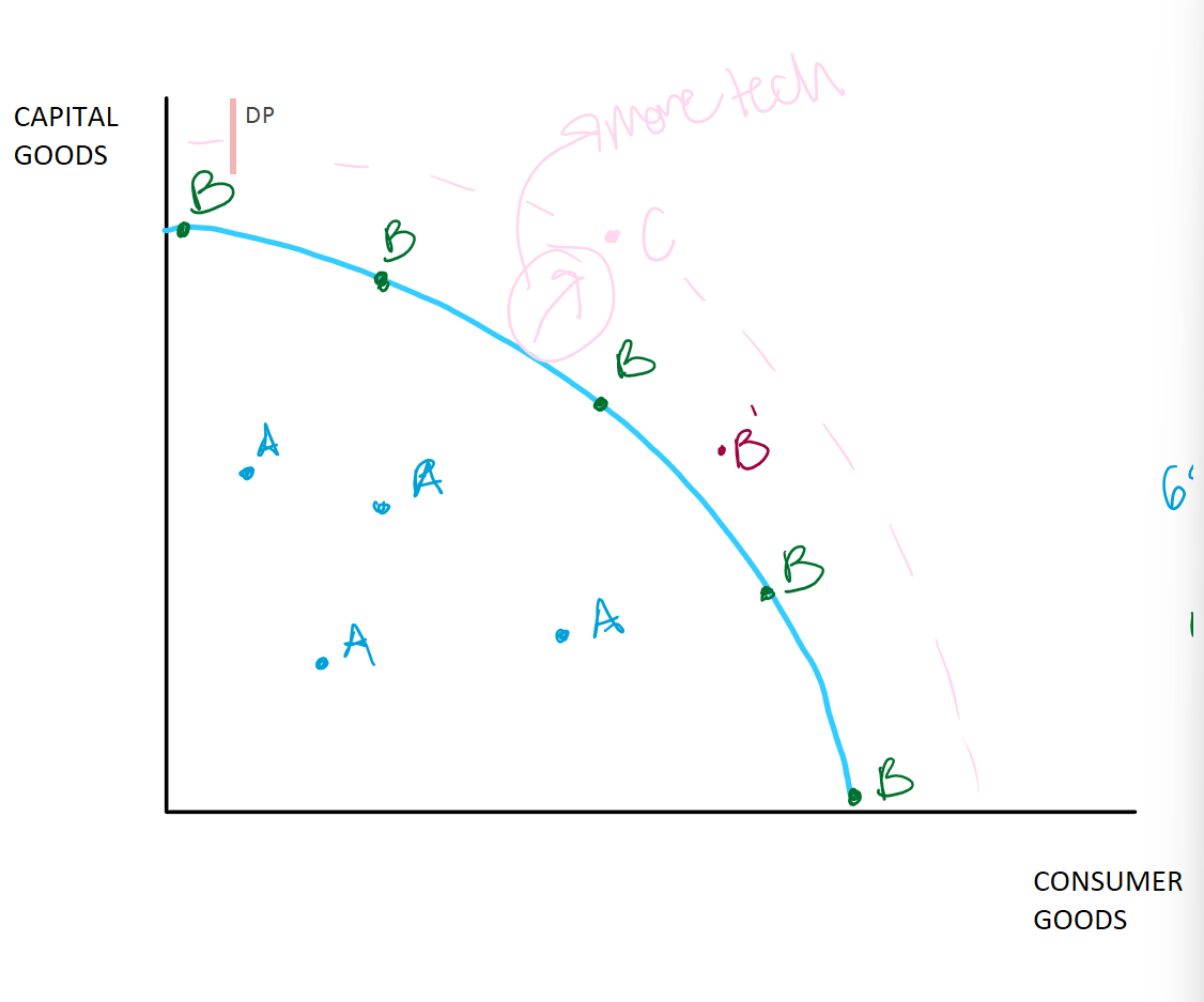 <p>Blue line or frontier/curve</p>