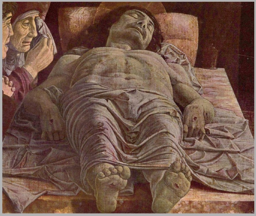 <p></p>