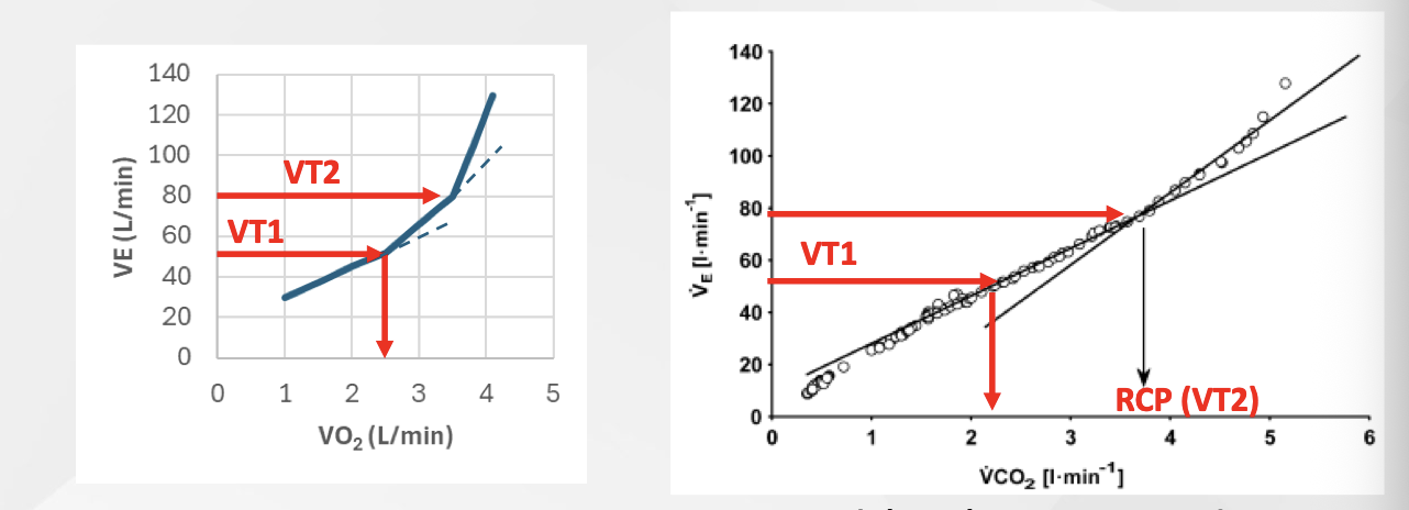 <p>Another break point in the ventilation curve</p><ul><li><p>Up to RCP (RCP or VT2), ventilation increases linearly with CO2</p></li><li><p>After RCP, even more pronounced hyperventilation (lower CO2 output per litre of exhaled air)</p></li><li><p>Until eventually too much waste product and have to stop</p></li></ul><p></p>