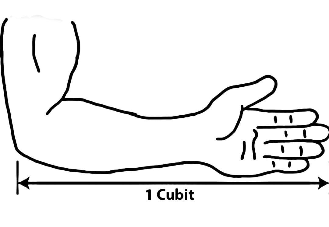 <p>cubit</p>