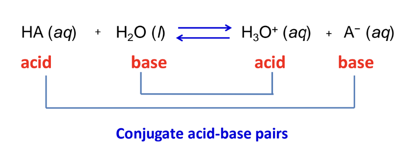 <p>Acid = proton donor. If it readily gives up a proton, the acid HA is strong</p><p>Base = proton acceptor</p><p>H₂O₂ can be both → <strong>autoionization</strong></p>