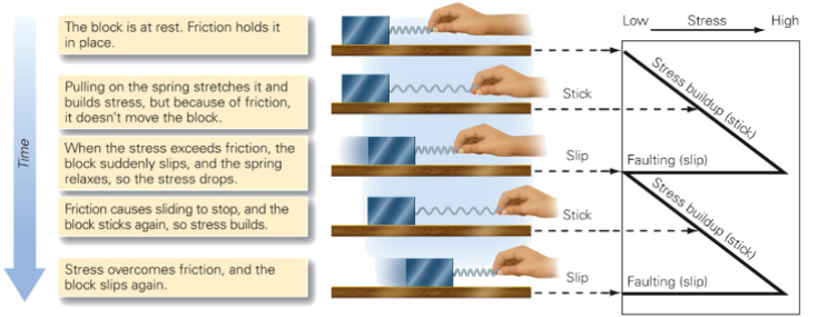 <p>It resists movement, so faults move via stick-slip behaviour.</p><ul><li><p>Stick is the period between earthquakes </p></li><li><p>Slip is the earthquake</p></li></ul><p></p>