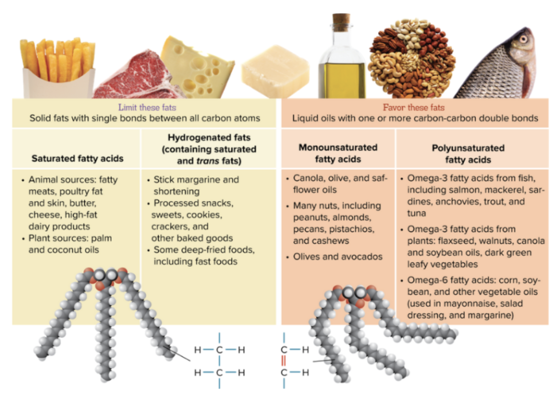 <p>Saturated fats = have no double bonds</p><p>Unsaturated = have a double bonds (oils)</p>