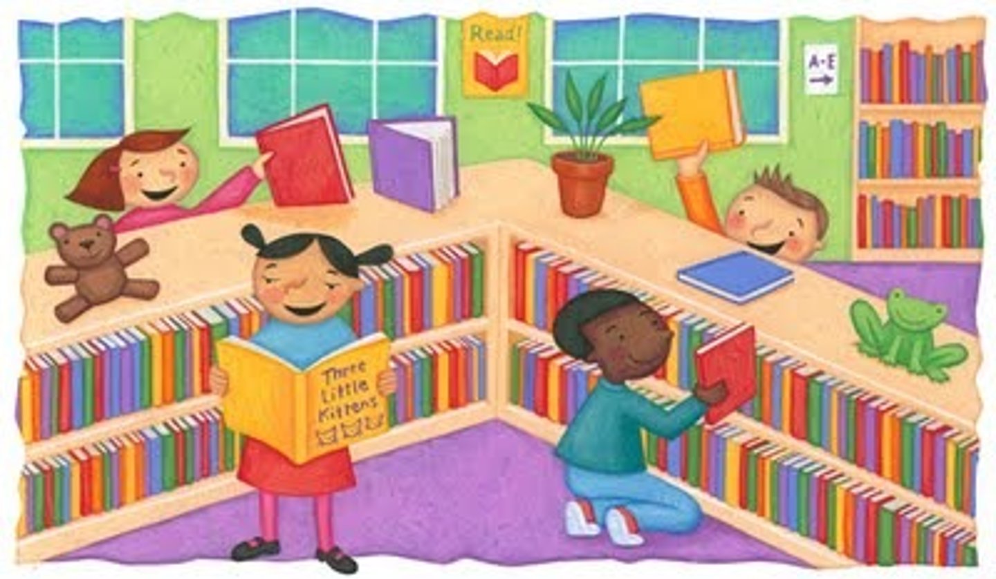 <p>the library</p>