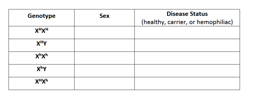 <p><span>In humans, a single gene found on the X chromosome controls for the disease hemophilia. Individuals with hemophilia lack a protein required for clotting blood. When injured, hemophiliacs bleed</span><br><span>excessively, and may even bleed to death after relatively minor cuts or bruises. The hemophilia gene has two alleles, H and h. The trait exhibits simple dominance, with the dominant phenotype of normal</span><br><span>protein production (XH) and the recessive phenotype of hemophilia (Xh). In the table below, indicate the sex of each patient, and whether he or she is healthy, a carrier (carries the hemophiliac gene, but does not suffer from the disease), or a hemophiliac.</span></p>