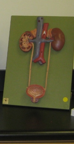 <p>Level 5</p>