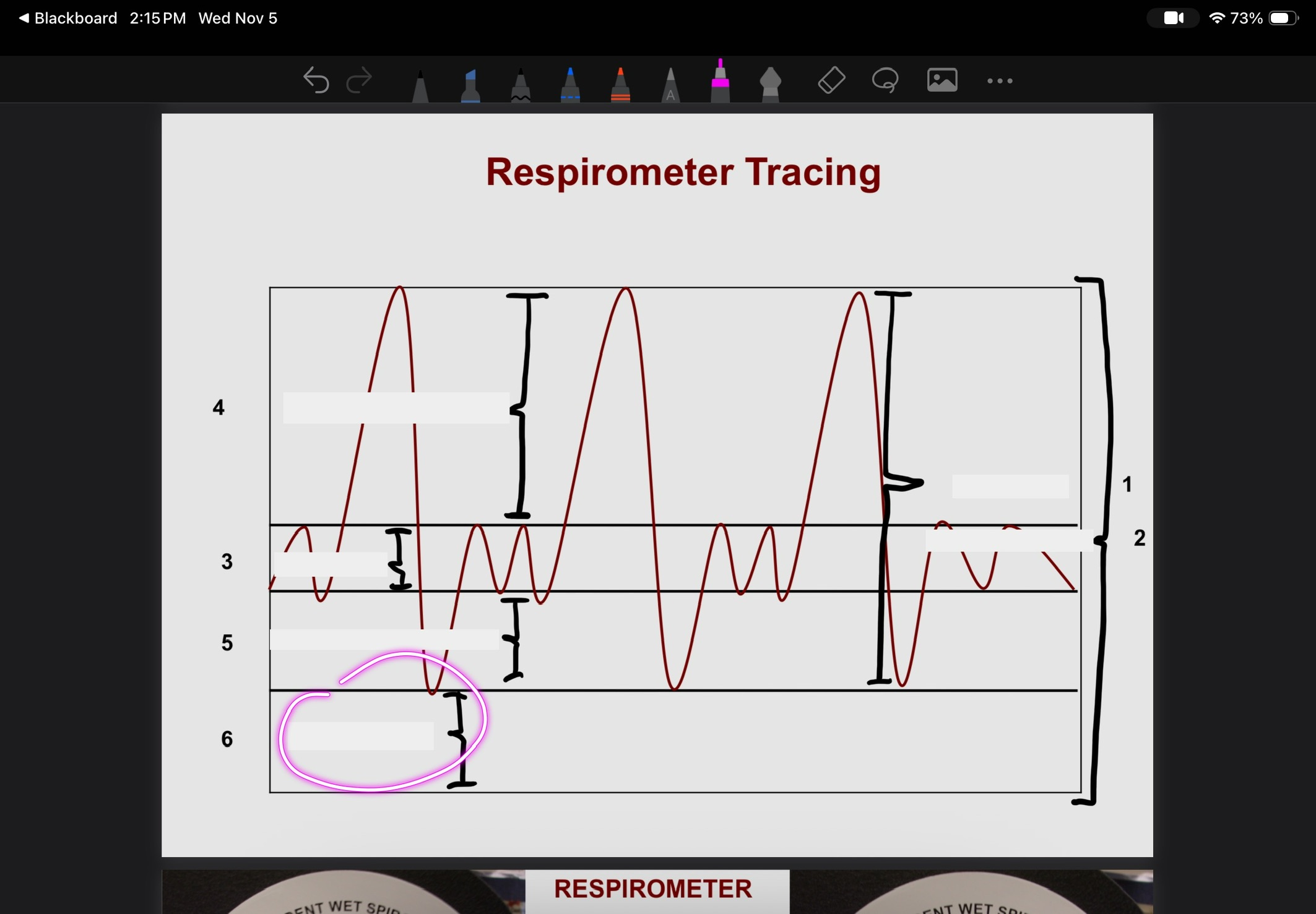 <p>What is this?</p>
