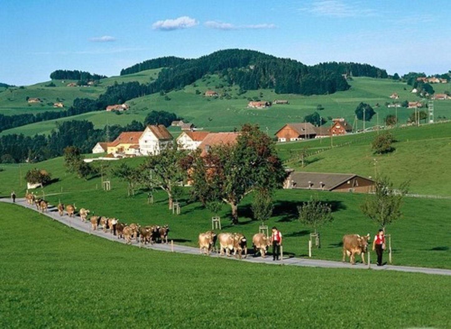 <p>relating to farm areas and life in the countryside</p>