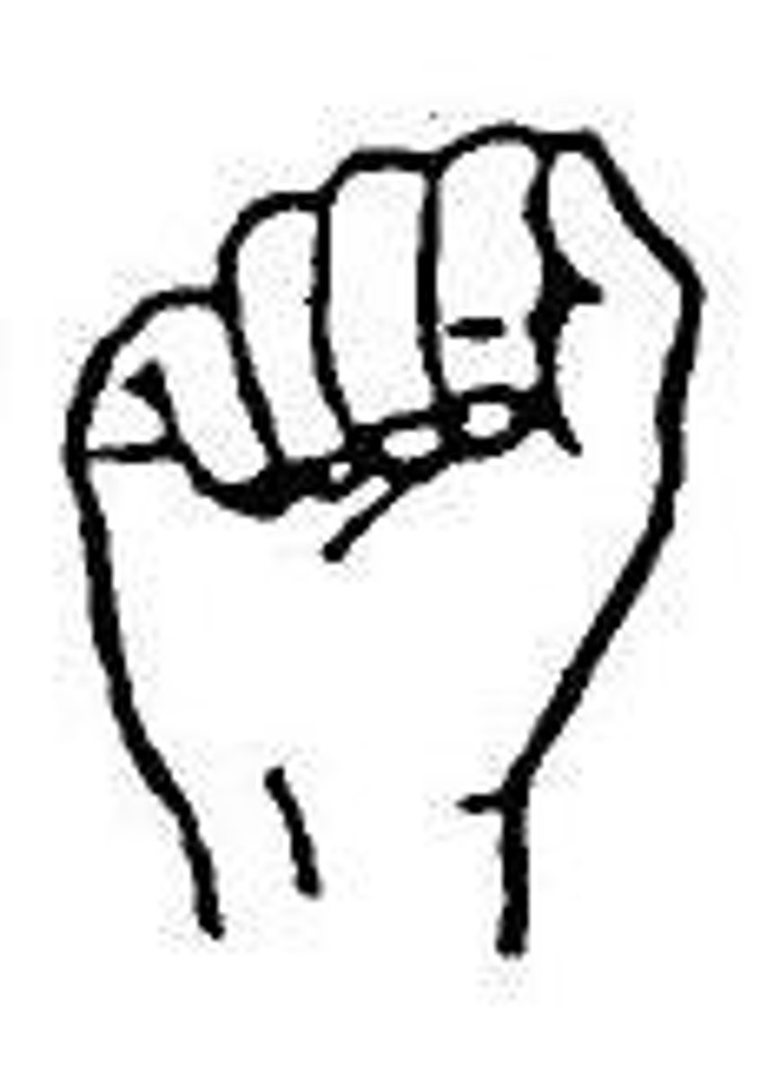 <p>flexion and extension</p>