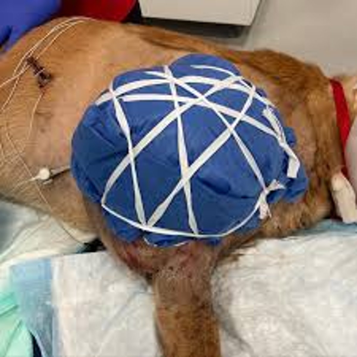 <p>This is an example of a</p>