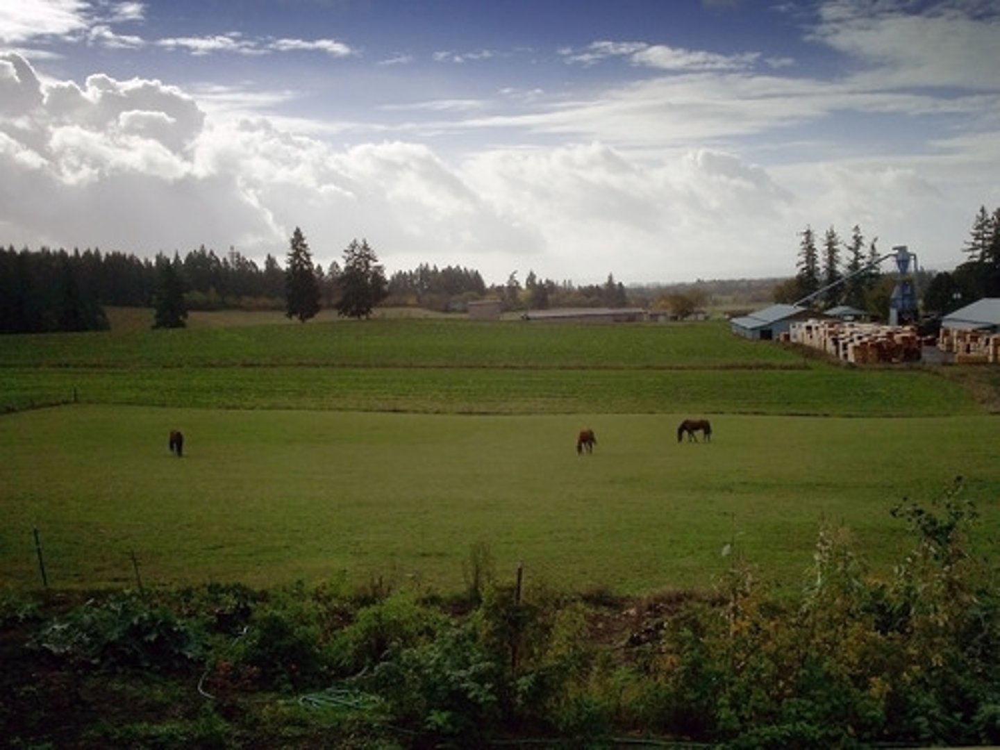 <p>A form of commercial agriculture in which livestock graze over an extensive area. (trang trại)</p>