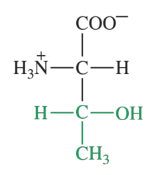 <p>What amino acid is shown in the image?</p>
