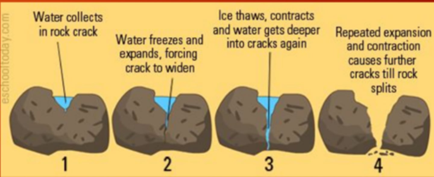 <p>abiotic causes of physical weathering</p>