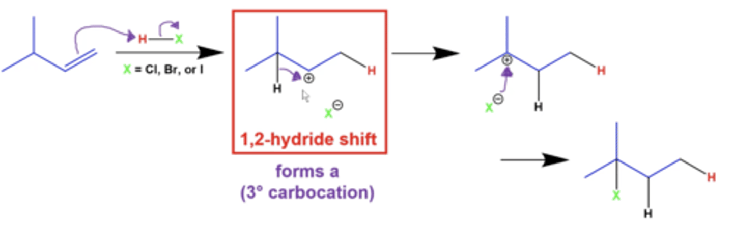 <p>if you have a terminal alkene, a NEIGHBORING hydrogen can shift with the carbocation to form a more stable carbocation intermediate</p>