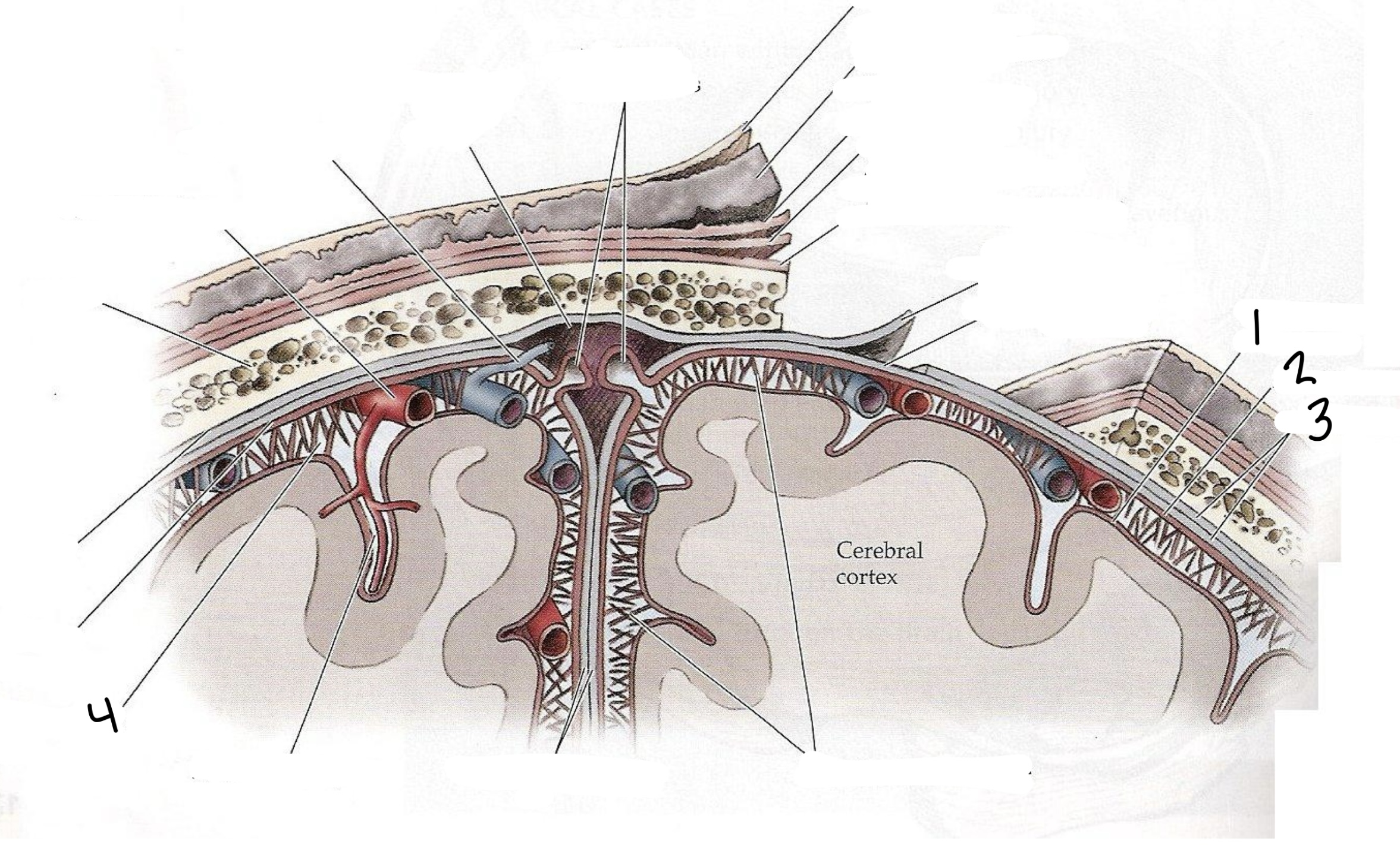 <p>1</p>