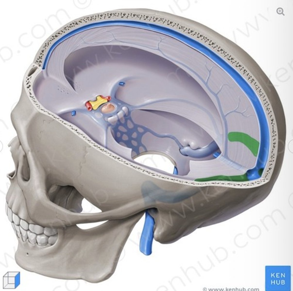knowt flashcard image