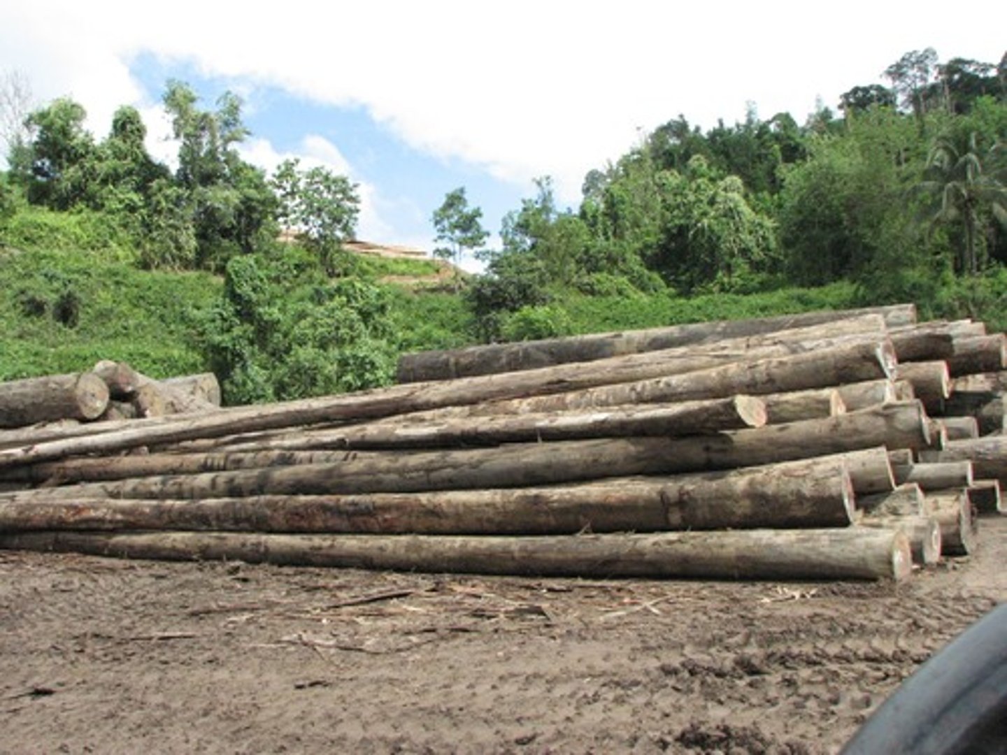 <p>It is getting smaller. Unfortunately, human development is killing off much of the world's rainforest. Around 40% of the world's rainforests have already been lost.</p>