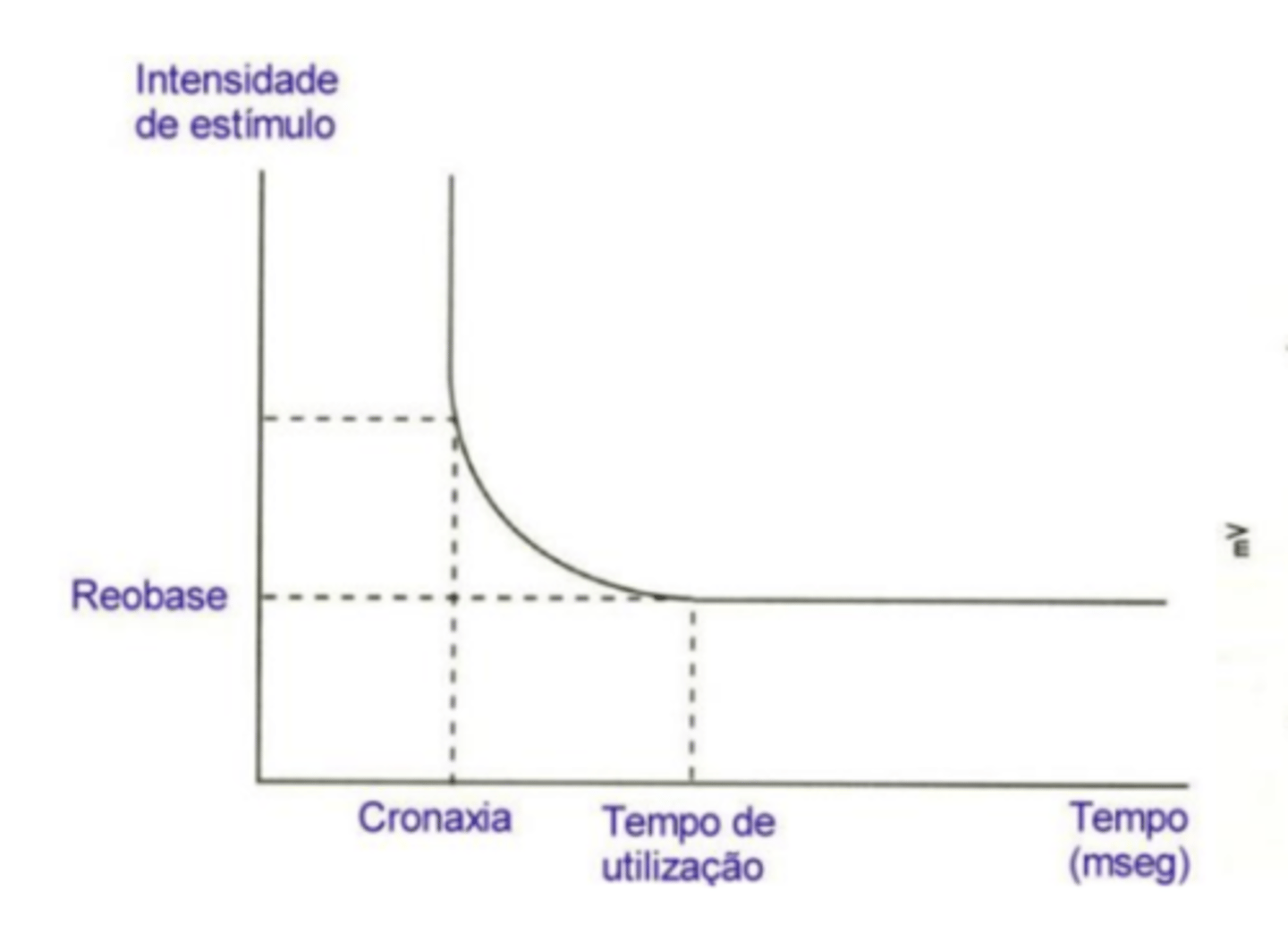 <p>tempo que é necessário aplicar um estímulo de intensidade dupla da reobase para que se produza um potencial de ação</p>