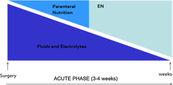 <ul><li><p><strong>RIGHT AFTER SURGERY: Give lots of fluids/electrolytes and little TPN.</strong></p></li><li><p><strong>As weeks go by, start decreasing fluid/electrolyte amounts and increasing nutrition!!!</strong></p></li></ul><p></p>