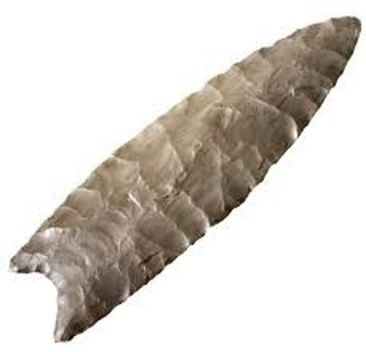 <p>The earliest widespread and distinctive culture of North America; named from the Clovis point, a particular kind of projectile point</p>