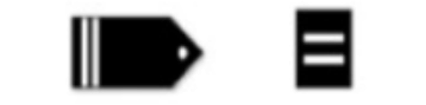 <p>What is this Cadet Rank?</p>
