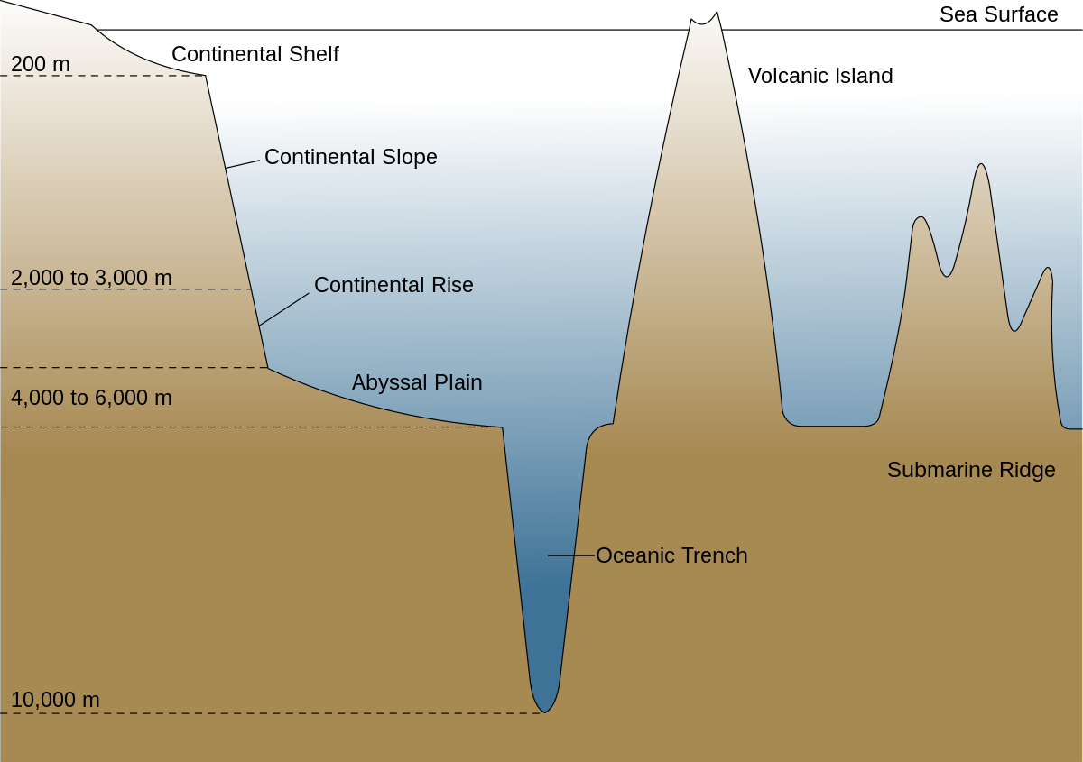 <p>4k-6k m deep, include abyssal hills and plains</p>