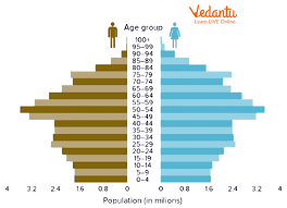 <p>population pyramid where there are significantly more elders than there are people being born (and is shrinking or soon to shrink)</p>