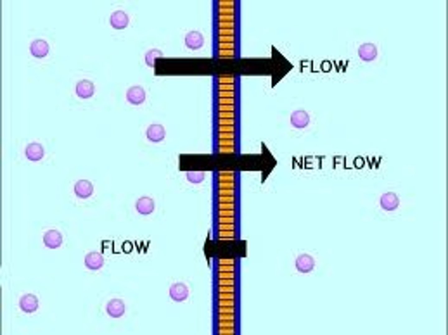 <p>movement of a solution or gas from an area of higher number of particles to an area of lower number of particles, the areas are typically separated by a membrane</p>