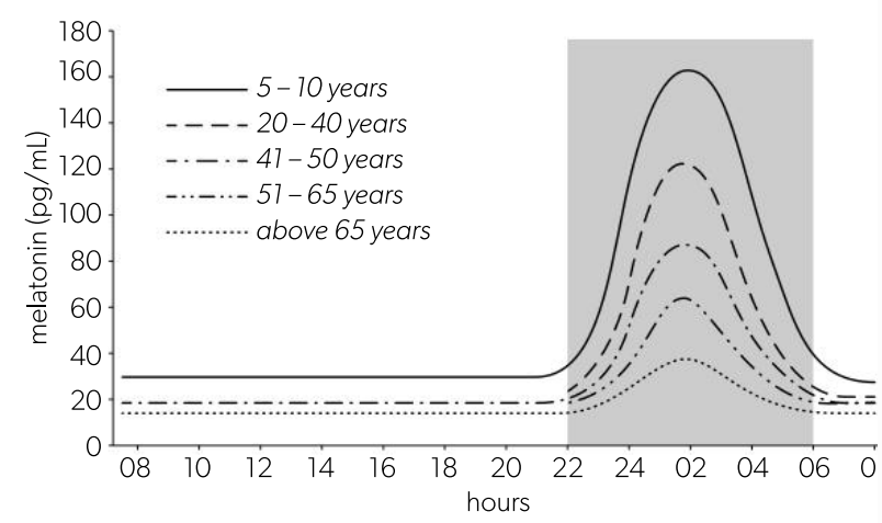 <p><span>Physical, behavioural, and mental changes that occur in the body in a 24-hour cycle.</span></p><p>The rhythm is set by the <strong>suprachiasmatic</strong> nuclei which control the secretion of the hormone melatonin by the pineal gland. <br><br>Melatonin secretion increases in the evening and drops to a low level at dawn. The hormone is rapidly removed from the blood by the liver, so blood concentrations rise and fall rapidly in response to rate of secretion. The graph shows melatonin concentrations at different ages, with the period in which it is dark shown in grey.</p>