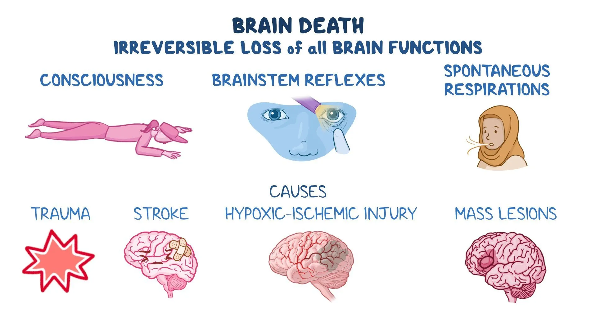 <p>What is whole brain death?</p>