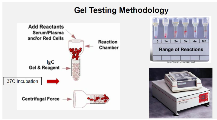 <p>(antibody screenmethods) column agglutination technology (CAT) gel</p>